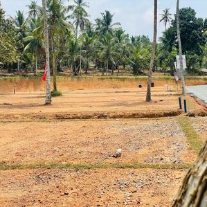 විකුනණ ඉඩම් ජා ඇල - Image 2