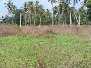 Land for Sale in Negambo