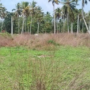 Land for Sale in Negambo - Image 2