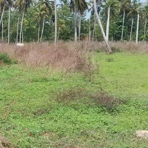 Land for Sale in Negambo - Image 3
