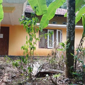 Land for Sale in Polgahawela - Image 2