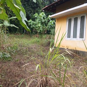 Land for Sale in Polgahawela - Image 3