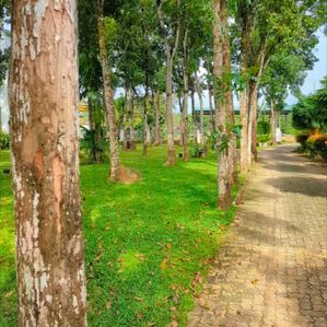 Land for Sale in Hanwella 80 perches - Image 3