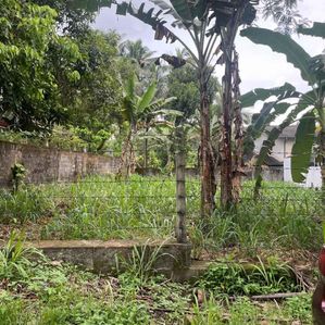 Land Plot for Sale Gampaha - Image 3
