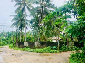 හොරණ පර්චස් 17 ඉඩමක් විකිණීමට