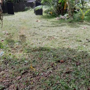 Kiribathgoda 12.5 Perches Land for Sale - Image 2