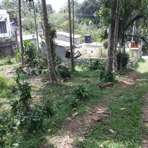 Bare Land Yakgahapiiya, Kandy - Image 3