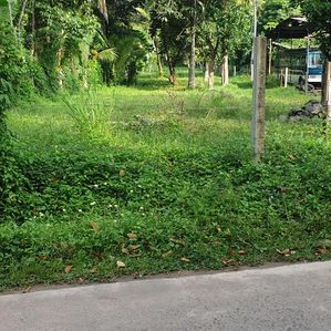 Land for Sale Seeduwa - Image 3
