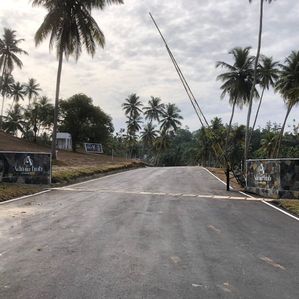 ලැබීම රෝහල ඉදිරිපිටින් වෙල්යායට මුහුණලා - Image 2
