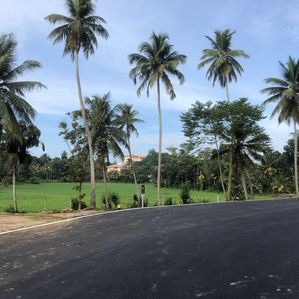 ලැබීම රෝහල ඉදිරිපිටින් වෙල්යායට මුහුණලා - Image 3