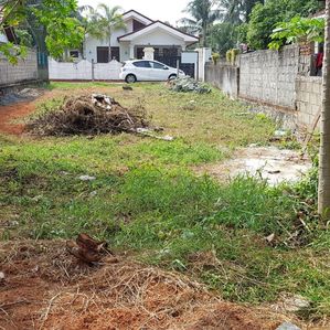 Land for Sale Kochchikade - Image 2
