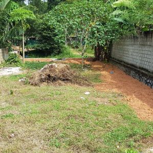 Land for Sale Kochchikade - Image 3
