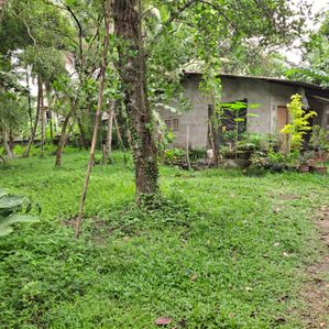 කලගෙඩිහේන නගරයෙන් වටිනා බිම් කොටසක් විකිණීමට - Image 2