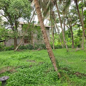 කලගෙඩිහේන නගරයෙන් වටිනා බිම් කොටසක් විකිණීමට - Image 3