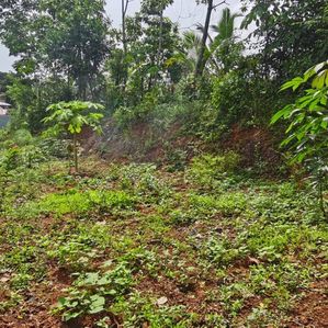 කඩවත වැබඩ පාරට ලගින් පර්චස් 7.6 වටිනා බිම් කොටසක් විකිනීමට - Image 3