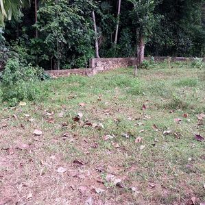 තිහාරිය අවටින් වාරණ පාරට ලගින්ම නේවාසික බිම්කොටසක් - Image 2