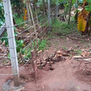 Valuable Land for Sale කෙන්ගල්ල - Image 3