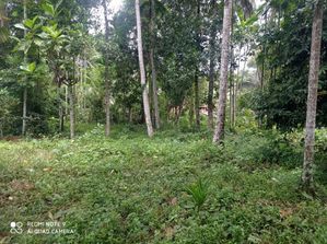 Land For Sale In Veyangoda