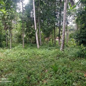 Land For Sale In Veyangoda - Image 2