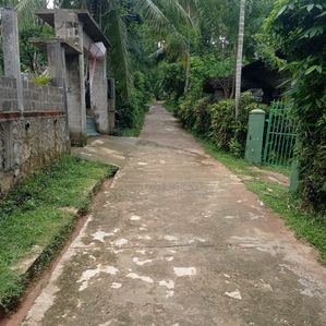 Land For Sale In Veyangoda - Image 3
