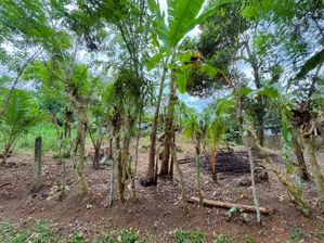 Residential Land for Sale Near Kiriwattuduwa