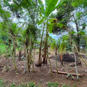 Residential Land for Sale Near Kiriwattuduwa - Image 2
