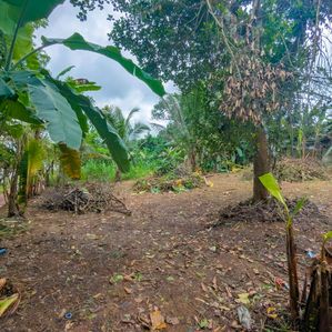 Residential Land for Sale Near Kiriwattuduwa - Image 3