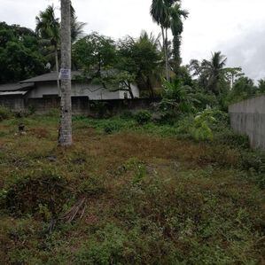 Land for sale Gonapala - Image 3