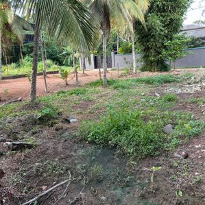 Land for Sale in Delgoda,Udupila - Image 3
