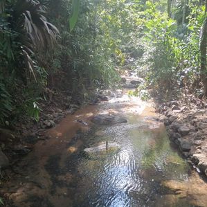 Land for Sale in Yatiyantota - Image 3