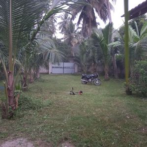 LAND FOR SALE - Image 2