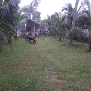 LAND FOR SALE - Image 3