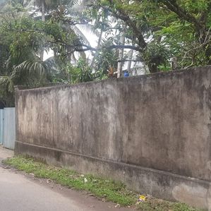 Kelaniya, Exsath Mawatha Land for Sale - Image 2