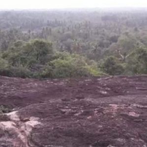 21-Acre Investment Opportunity | Wariyapola, Kurunegala - Rs. 100 M - Image 3