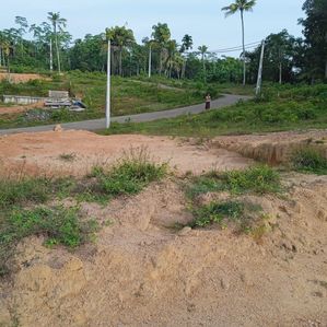 Land for sale in Weligama - Image 2
