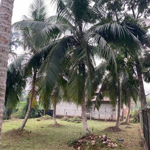 බණ්ඩාරගමට ගැලනිගම අධිවේගී මාර්ග හුවමාරුවට ආසන්න අනගි ආයෝජන අවස්ථාවක්. - Image 2