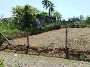 Land For Sale Halbarawa