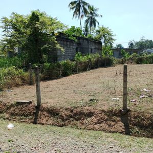 Land For Sale Halbarawa - Image 2