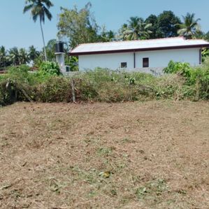 Land For Sale Halbarawa - Image 3
