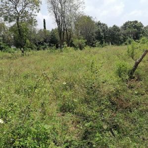 Land for Sale බමුණුගම - Image 3