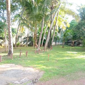 Valuable Commercial Prime Land with Building for Sale in Kandana City - Image 3