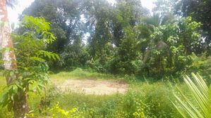 Land for Sale in Kosgama
