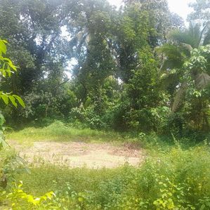 Land for Sale in Kosgama - Image 2