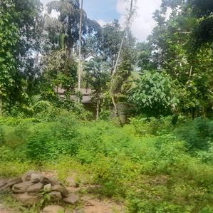 Land for Sale in Kosgama - Image 3