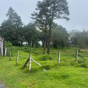 Land for SALE in Nuwara Eliya - Image 3