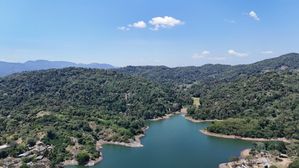 Land for sale- Digana