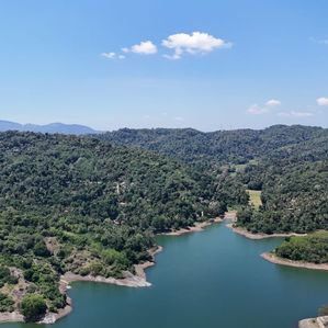 Land for sale- Digana - Image 2