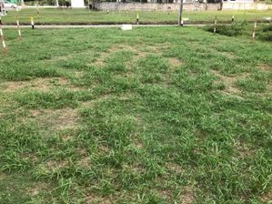 Land for SALE Homagama Diyagama