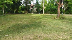 අනුරාදපුර කෘෂිවිද්‍යා පිඨයට නුදුරින් සින්නක්කර අවසන් බිම්කොටස