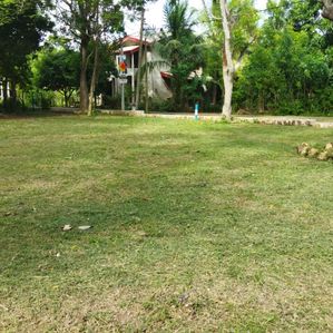 අනුරාදපුර කෘෂිවිද්‍යා පිඨයට නුදුරින් සින්නක්කර අවසන් බිම්කොටස - Image 2